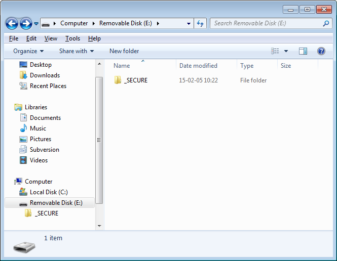 FilesAfterSecure.png