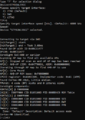 Thumbnail for version as of 09:59, 11 November 2024